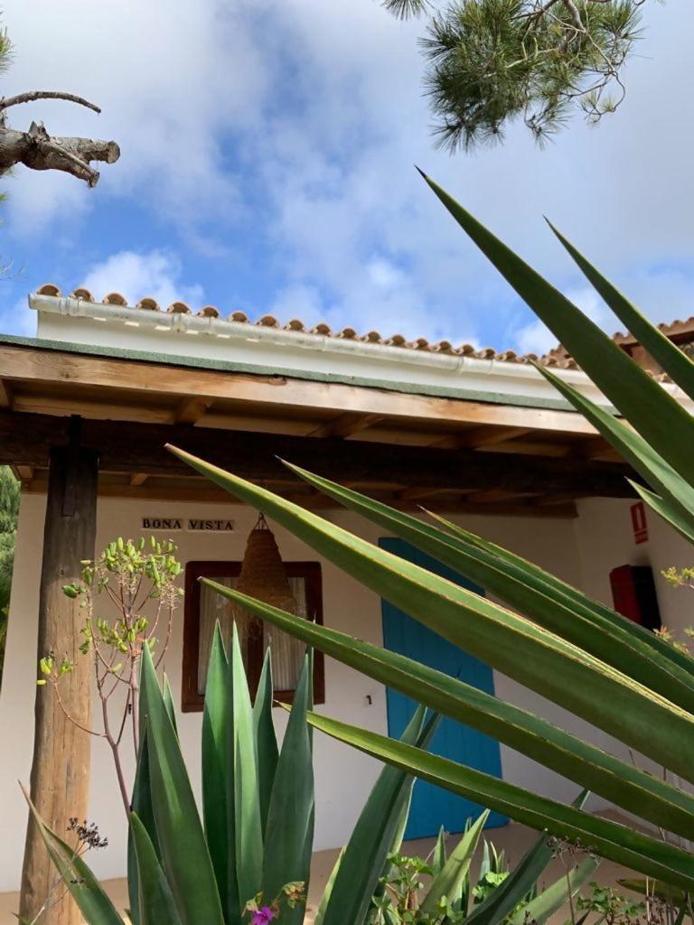 Casa Goro Formentera Villa Playa Migjorn Szoba fotó