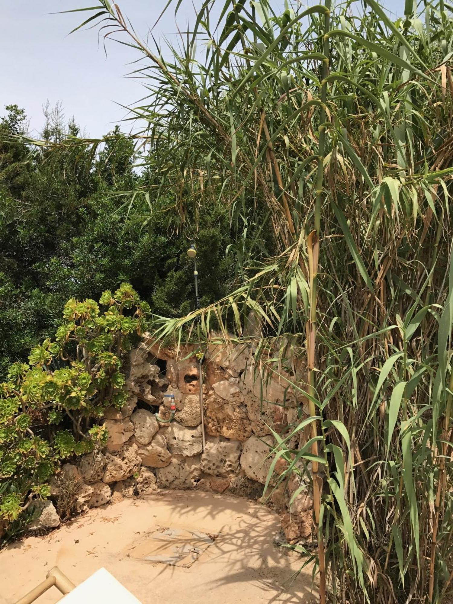 Casa Goro Formentera Villa Playa Migjorn Szoba fotó